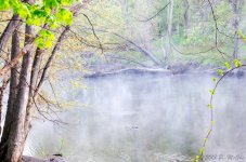 DSC_6633-Edit.jpg
