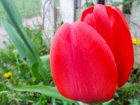 20130506-IMG_20130506_200207.jpg
