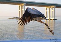 DSC_1862.jpg