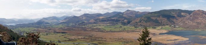 high view dodd wood_DCE.jpg