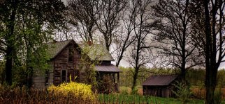new siding1200.jpg