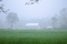 DSC_6780.jpg