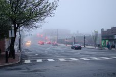 DSC_6783.jpg