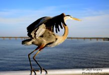DSC_1905.jpg