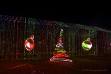 11-22-18-cr__7508142.jpg
