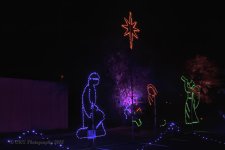 11-22-18-cr__7508146.jpg