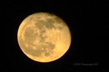 11-24-18-cr__D7K0268.jpg