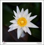 flashtest-1.jpg