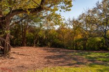 2018 1029 Yard Clean up-5515.jpg