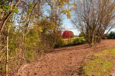 2018 1029 Yard Clean up-5517.jpg