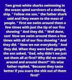 shark.jpg