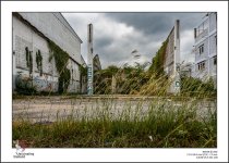 before-storm-1.jpg