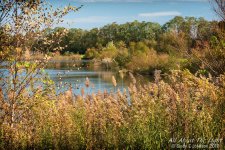 _DSC7646 sRGB low res.jpg