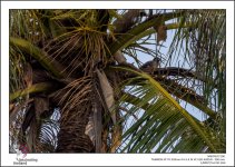 behind-brenches-1.jpg