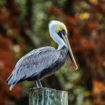 DSC_3643.jpg