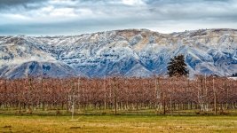 DSC_2491-Edit.jpg