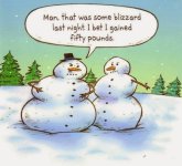 snowman-blizzard.jpg