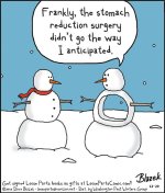 7969e4896bcaf46dfca9ffe59ba84fec--snowmen-humor.jpg