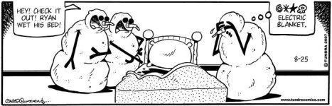 snowman humor electric blanket.jpg