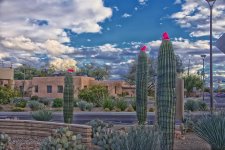 11-30-18-cr__7508276_HDR-ON1.jpg