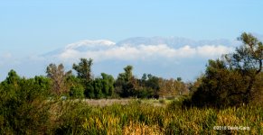 big bear N 500_7623.jpg