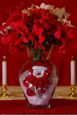 12-01-18-cr__7508300.jpg