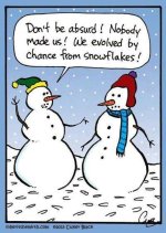 evolve-from-snowflakes.jpg