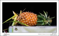 pineapple-1.jpg