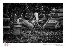 daily-news-bw-1.jpg