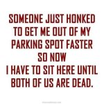 honked.jpg