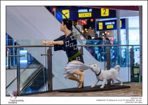 tamron-shopping-1-3.jpg