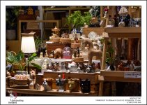 tamron-shopping-3-4.jpg
