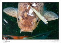 tamron-shopping-8-2.jpg