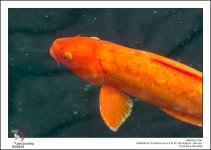 tamron-shopping-8-3.jpg