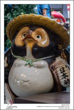 tamron-shopping-last-2.jpg