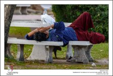 comfortable-nap-1.jpg