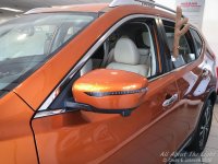 IMG_0203 low res.jpg