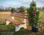 _DSC7950 low res.jpg