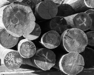 Posts-300.jpg