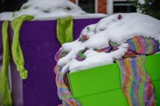 DSC_6307.jpg