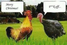 xmas.jpg