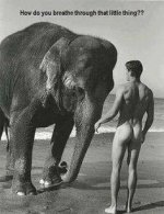 trunk.jpg