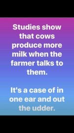 milk.jpg