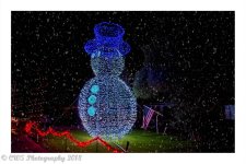 12-10-18-cr__7508454-ON1.jpg