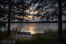 _DSC8016 low res.jpg