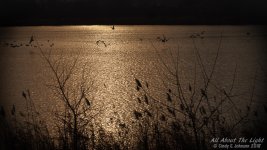 _DSC8026 low res.jpg