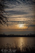 _DSC8028 low res.jpg