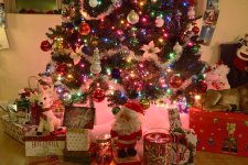 12-12-18-cr__7508492.jpg