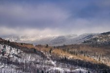 DSC_6382.jpg