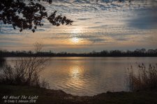 _DSC8022 low res - Copy.jpg